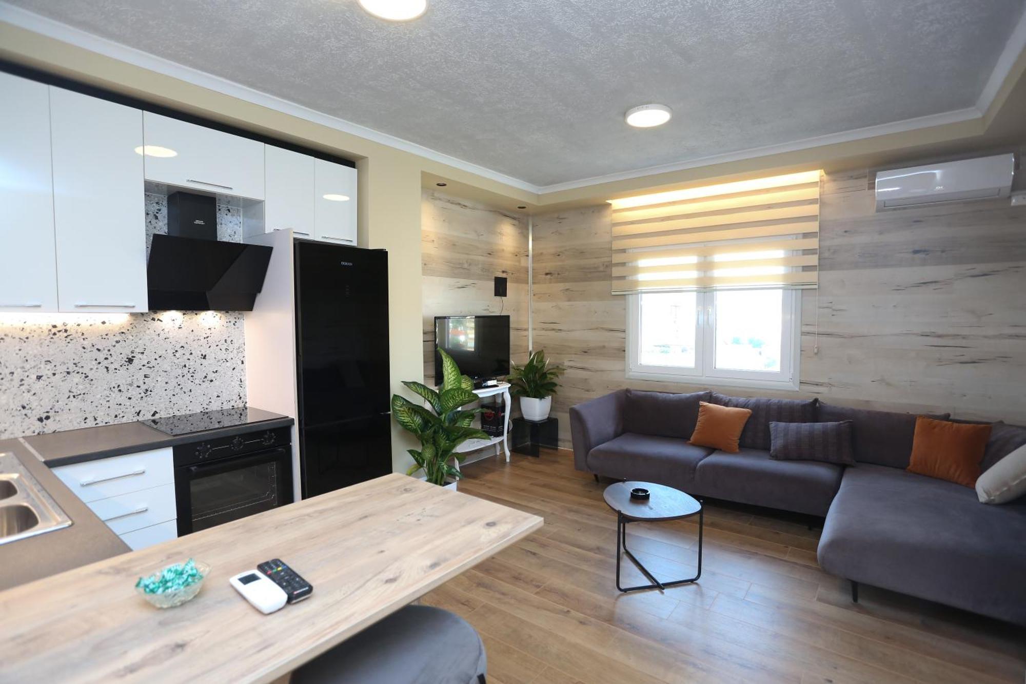 Apartament David Center